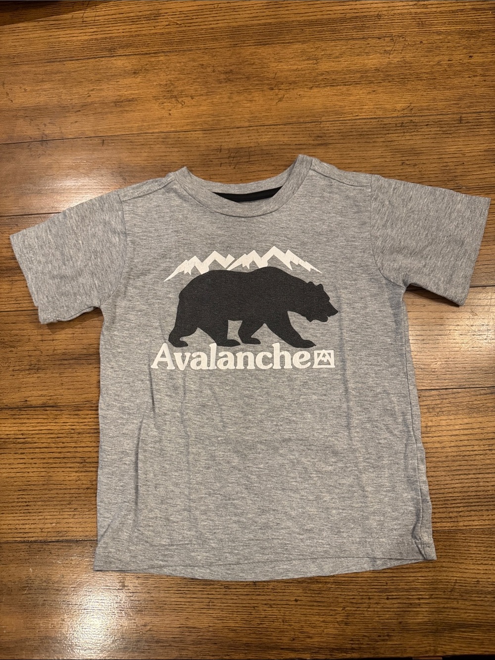 ☀️3 for $10☀️ Bear T-Shirt